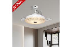 China 230V Dc Motor Retractable Ceiling Fan Light Acrylic Lamp shade supplier