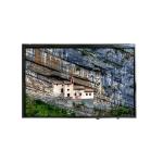 VVX10F034N00 10.1 inch 800 : 1 LCD Screen Display Panel for sale