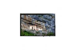 China VVX10F034N00 10.1 inch 800 : 1 LCD Screen Display Panel supplier