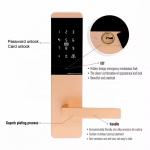 TTM727  TThotel / TTLOCK App Smart password door Locks