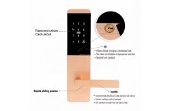 China TTM727  TThotel / TTLOCK App Smart password door Locks supplier