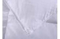 China 50% 150x210cm Duck And Down Quilt supplier