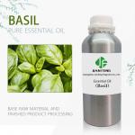 100% Organic Basil Essential Oil Basil Oil Aromatherapy Distillation FDA for sale