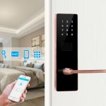 Multiple Colors Optional Digital Keypad Apartment Smart Door Lock with Smart App for sale