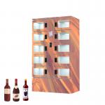 Winnsen Wine Bottle Refrigerated Locker 24 Hours Smart With Customized Doors for sale