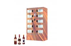 China Indoor Winnsen Refrigerated Locker With Customization For Shopping Mall supplier