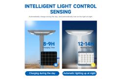 China Waterproof Commercial Solar Garden Light for Hotels Parks and Landscape Projects supplier