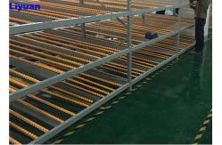 China Industrial Carton Flow Rack Rolling Stainless Steel Case Fifo Storage System supplier