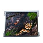 LTD121GA0S 1024*768 TFT LCD Display Screen Panel for Industrial for sale