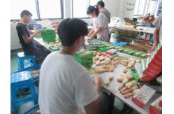 China Comb Pre Shipment Inspection Services AQL Quality Inspection supplier