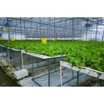Indoor Vertical Farming NFT Hydroponic System PVC Tube Growing System for sale