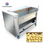Multi Functional Fruit Washing Machine Medium Sized Lotus Root Washing Radish Machine for sale