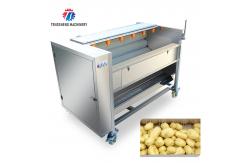 China Potato Carrot Brush Cleaning And Peeling Machine 1200-1500KG/H supplier