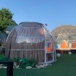 Outdoor Bubble Tents with 1pc Aluminium Window for Leisure Tea Bar for sale