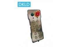 China Ten-way dual speed switch industrial remote control supplier