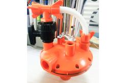 China Automatic Poultry Farm Drinking System For Broiler Chicken Shed supplier