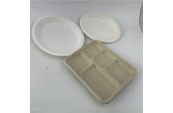 China Biodegradable Tableware Sugarcane Bagasse Pulp Paper Plate Dinnerware Sets supplier