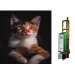 Silent High Resolution Auto Laser Positioning Wall Printer Robot for sale