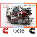 Diesel Engine Parts Fuel Injection Pump 4061145 4061206 4061228  For Cummins NTA855
