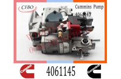 China Diesel Engine Parts Fuel Injection Pump 4061145 4061206 4061228  For Cummins NTA855 supplier