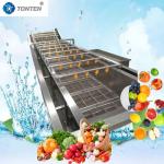440V Food Cleaning Machine Industrial Vegetable Washing Machine For Olives Avocado