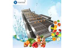 China 440V Food Cleaning Machine Industrial Vegetable Washing Machine For Olives Avocado supplier