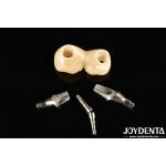 Experience Aesthetically Pleasing Results With Customizable Implant Retained Crown And Bridge for sale