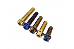 China Flange Flower Head Titanium Cycle Disc Roter Bolt Button Head Torx Drive supplier