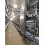 High Survival Rate Fully Automatic Pullet Cage Space Saving Easy Operation High Efficiency