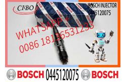 China Diesel Engine Common Rail Injector Assembly 0445120075 supplier