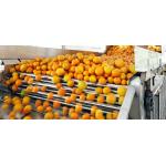 Engery Saving Orange Juice Production Industrial Orange Juice Machine ISO CE for sale