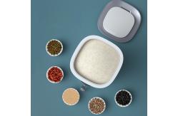 China Insect Proof Automatic 10kg Rice Storage Container Household Storage Organization supplier