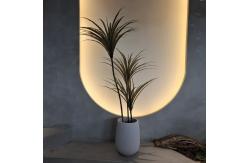 China Artificial Yucca Tree Faux Plant Insect Resistant Waterproof 160CM supplier