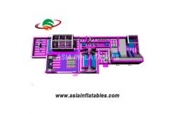 China Customized Pink 18 OZ Tarpaulin Inflatable Theme Park supplier