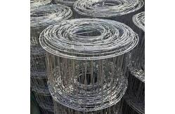 China Customized galvanized hinge joint field cattle goat fences farm guard deer netting supplier