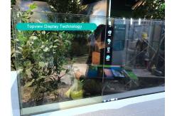 China Self Emission 3840x2160 Transparent LCD Screen OLED Backlight supplier