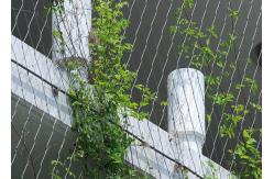 China Stainless Steel Rope Mesh / Plant Trellis Or Construction Building Facade Safety Net supplier