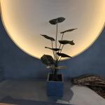 Eco Friendly Realistic Plastic Artificial Plants Artificial Indoor Plants 90cm