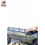 25cm Indian Roti Making Machine Fully Automatic Commercial Chapati Making Machine for sale
