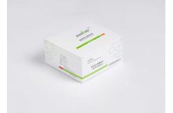 China 15 Minutes Troponin I Rapid Test Kit Myoglobin Detection Reagent supplier