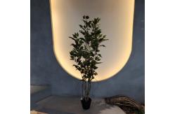 China Insect Resistant Artificial Plants Indoor Artificial Green Walls 150CM supplier