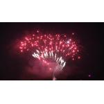 208 Shots Professional Cake Fireworks Outdoor For Christmas Festival Celebration for sale