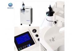 China 16Kgs Lightweight Portable Electric Oxygen Machine 3LPM supplier