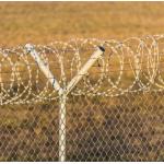 500 M Barbed Galvanised Razor Wire Anti Climb Bird Protective for sale