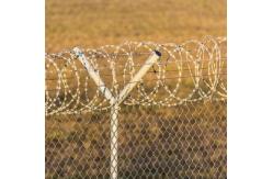 China 500 M Barbed Galvanised Razor Wire Anti Climb Bird Protective supplier