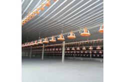 China Poultry Pan Feeding System Automatic Poultry Feeder System With Stern Shaft supplier