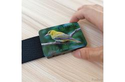 China Black Nylon Plastic Buckle Belt For Advert Webbing Promotion Gift Bird Photo Print supplier