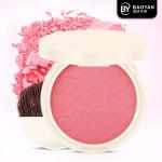 Nude Colors Face Makeup Blusher Single Cheek long wearing 31g Net Weight for sale