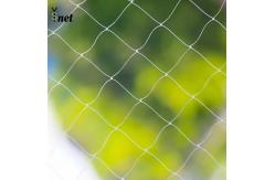 China Nylon Pet Safe Net Transparent Balcony Protection Net Customized supplier