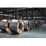 Power Transmission Overhead Bare Aluminum Conductors ACSR AAC AAAC Acss